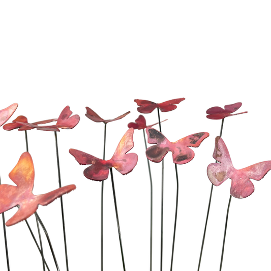 Small Copper Butterflies- Bare - gonepottynz