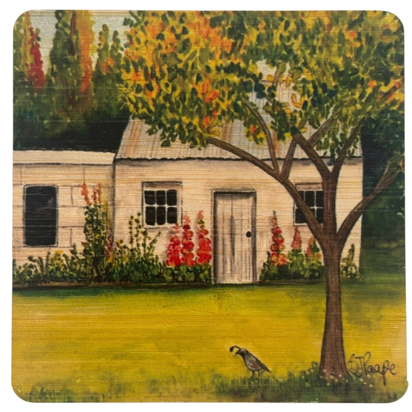 The Packing Shed - Alexandra Bamboo coaster