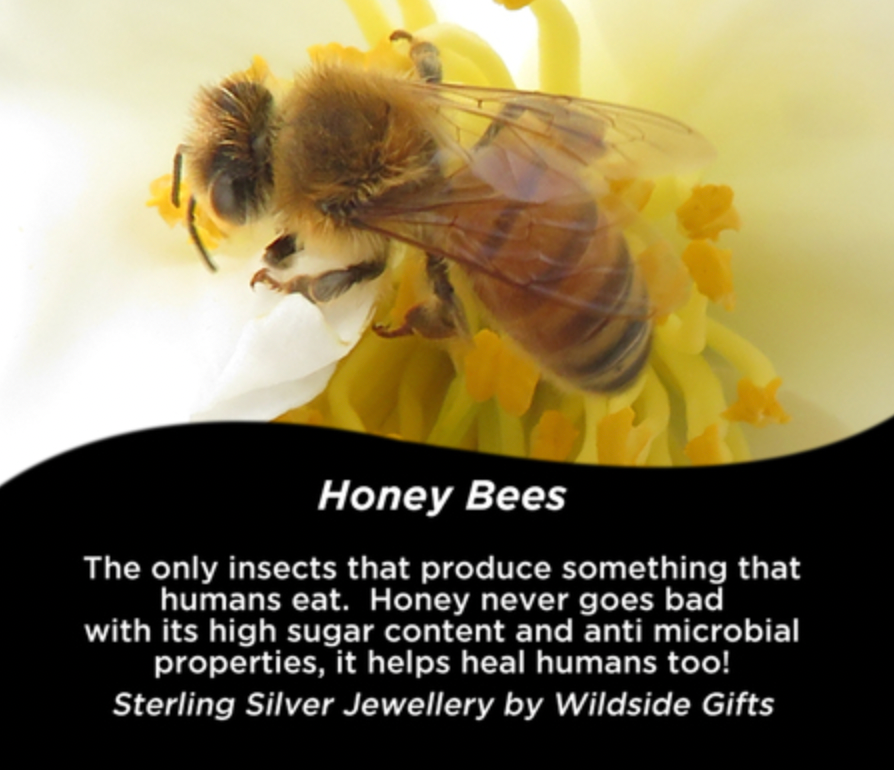 Silver bee sterling silver bee studs - gonepottynz