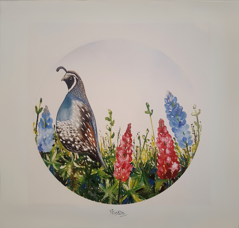 Art Print | Quail | Bridget Paape - gonepottynz