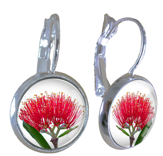 Earrings | Pohuatakawa - gonepottynz