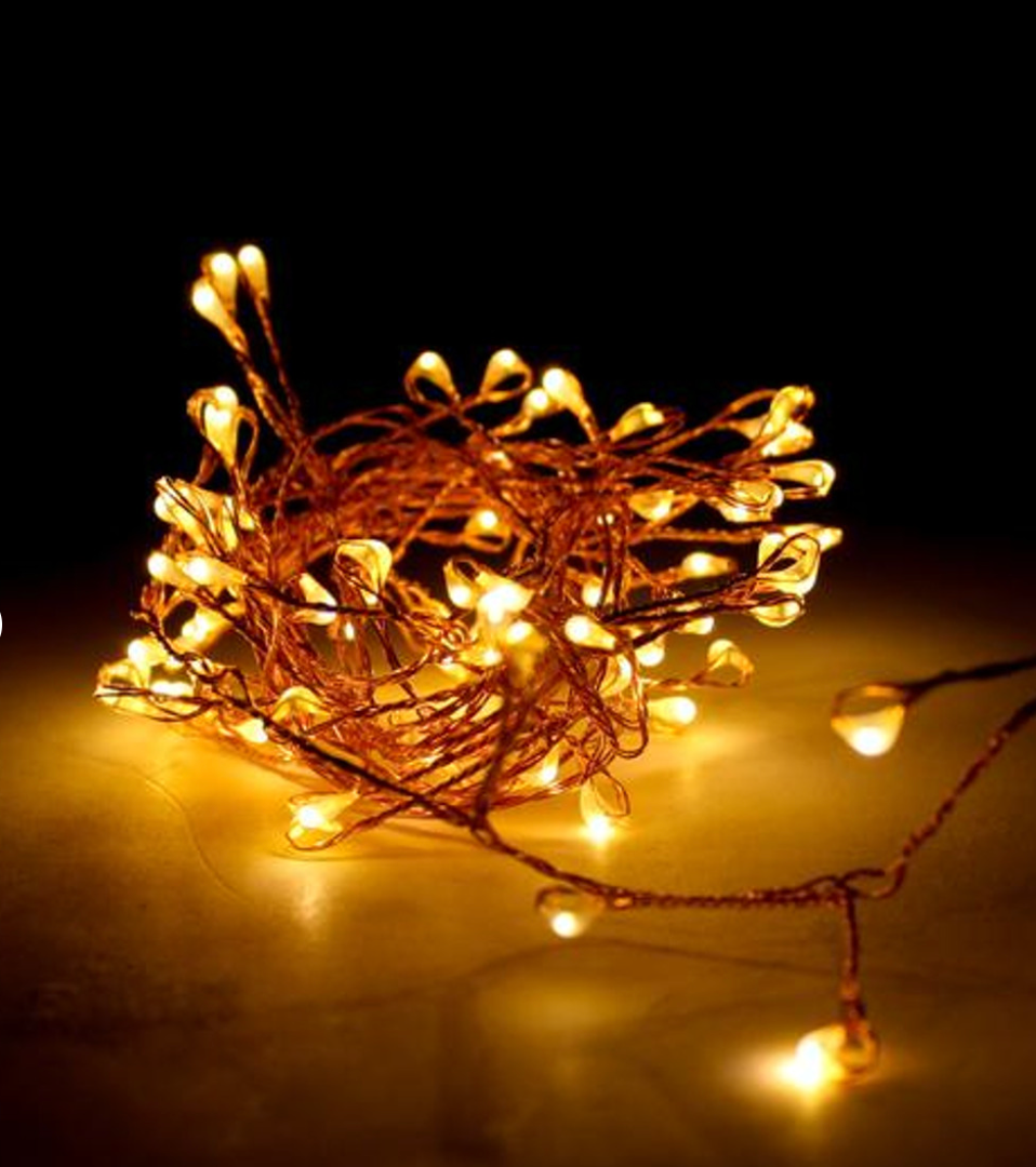 Seed lights charge and go - gonepottynz