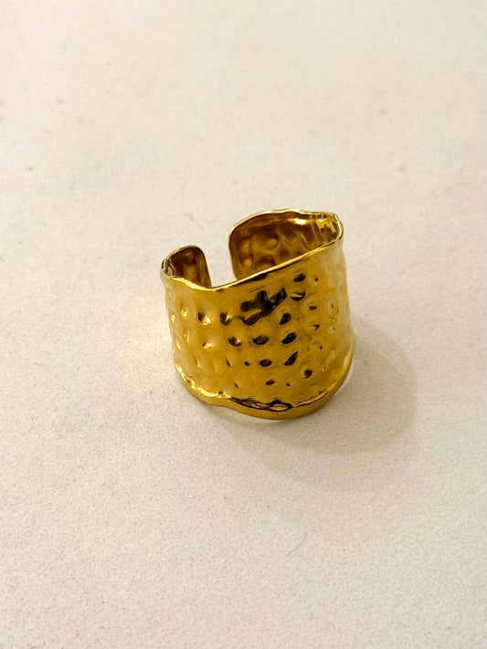 Rayo Stainless Steel Adjustable Ring - gonepottynz