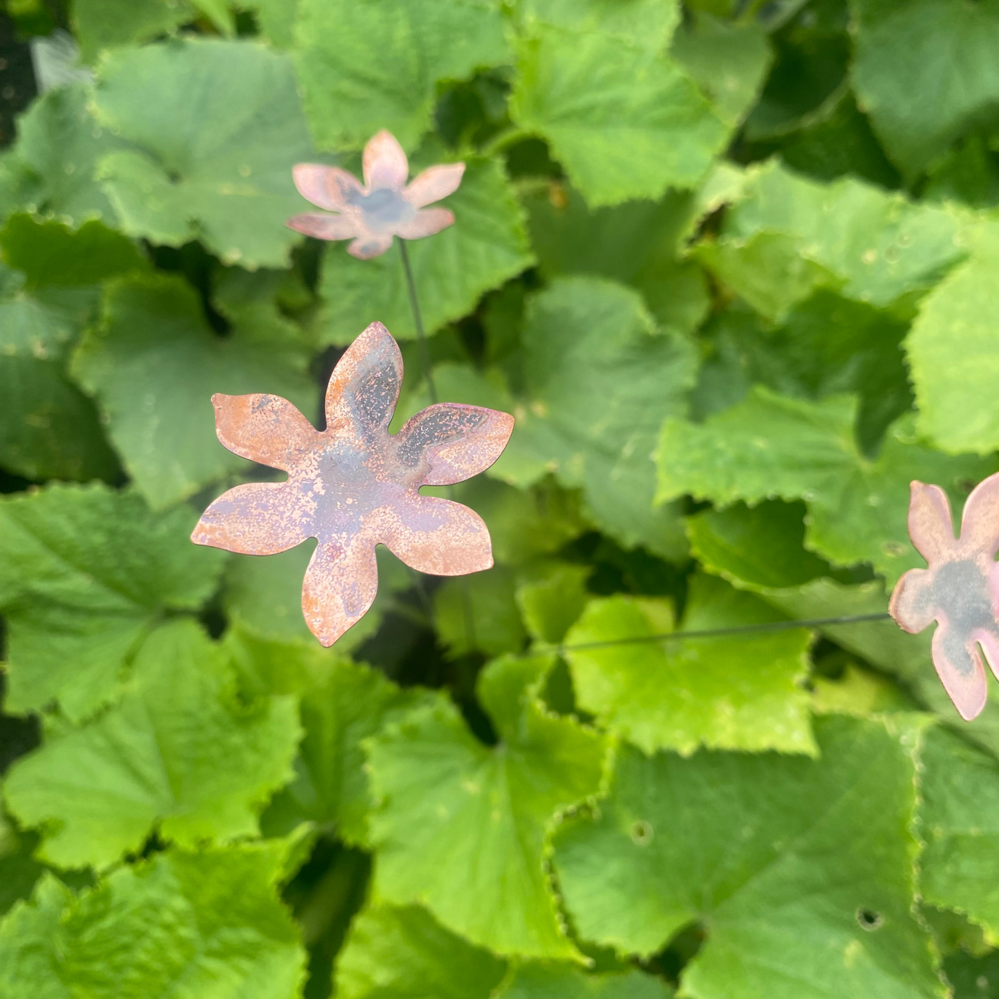 Medium Natural Copper Flower