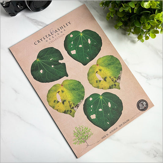 Pop out Kawakawa Leaves Set - gonepottynz