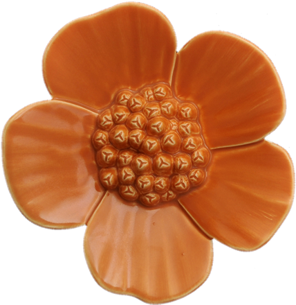 Ribbonwood Flower - Medium - 23 Colours Available - gonepottynz