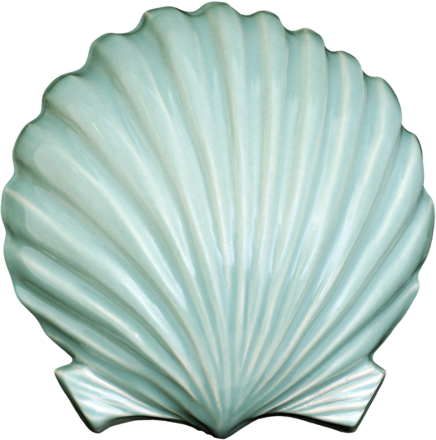 Wall Scallop - Large - gonepottynz
